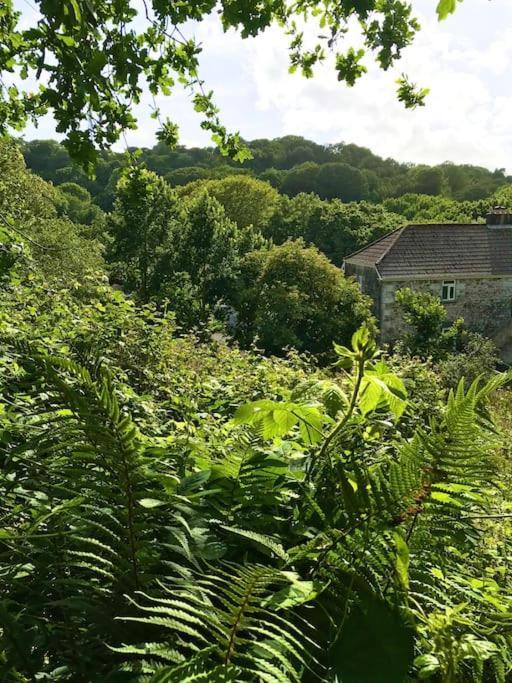 Cosy Retreat In Beautiful Cornwall *